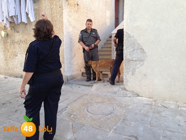 policenewobwa601 (5)f.JPG